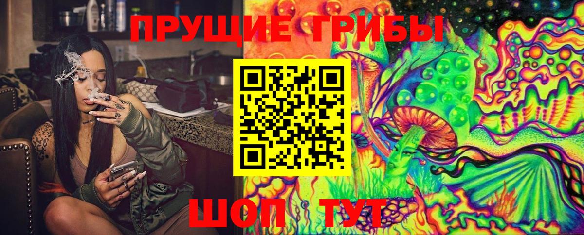 Череповец  Галлюциногенные грибы Psilocybine cubensis  Вход с VPN 